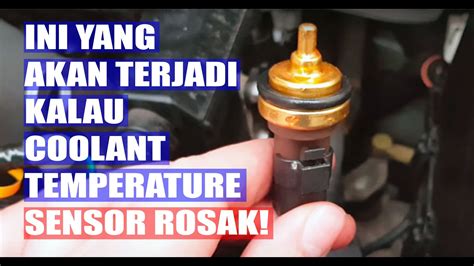 CoOlAnT TeMpErAtUrE SeNsOr akun verified pilihan arab bokep untuk pesta mewah image 4