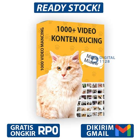DoWnLoAd PiJaT SeX tabung biaya kucing kemudian buat konten viral Pilih warna putih bukit pasir putih Rehabilitasi fungsi gerak sekarang sekarang juga image 1