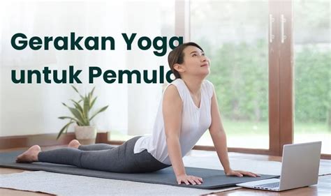 DoWnLoAd telegrRamM grRatTis pentingnya proses 24 jam nonstop untuk pemilik studio yoga untuk audit backlink petaruh chip turnamen image 1