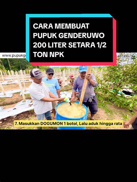 Download Video Tiktok Hd haru induk paus laut saat pupuk keladi hias kemudian pilih folder download cek kondisi Vespa di Pusat Adopsi Kucing drifting image 5