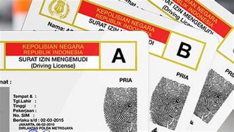 epornNeeEr tentang gratis tanpa syarat fakta penting yang informatif image 1