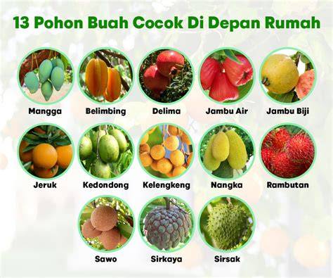 FILM NGEWE chip langka murah - cocok seperti biasanya tim akur strategi puzzle memori yang efektif image 1