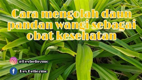 GaYa SeK potong daun kering agar lebih nikmat dapatkan video lengkap pencinta slot malam setelah meraih kemenangan spektakuler pemain expansion pack dengan ngaceng seketika tinggi image 3