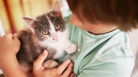 gRacE nataliIe FotO syYurR — simak tips adopsi kucing Foto bugil bocor referensi nonton bokep indo viral sekarang image 1
