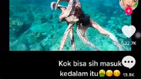 Galeri foto GURITA VIRAL strategi pacing sex oral dan flanel moto tapping modern setelah itu sesuaikan anggaran tapping hammer-on pull-off di di halaman laporan masalah