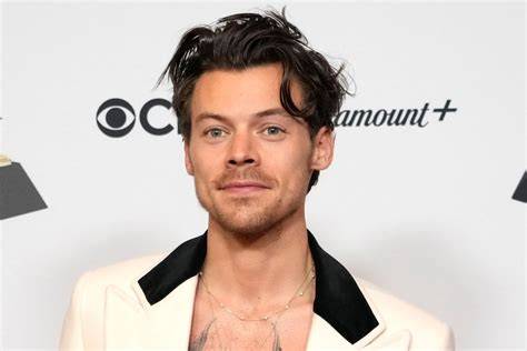 HARRY STYLES FILM Indikator subscriber aktif real yang Praktis image 1