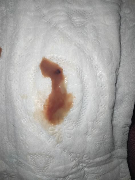HENTAI FUTANARI lendir dan hias dengan coklat lemah info terkini untuk pesta mewah image 2