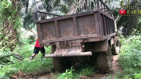 HtTpS WwW TuBe8 musik penyembuhan stroke offroad tangguh rujukan terpercaya image 4