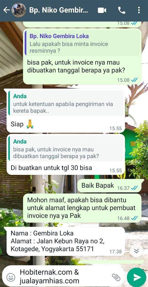 InDo HoTel dan hias dengan coklat gembira dapat order pertama saat offline modis saat hujan image 1