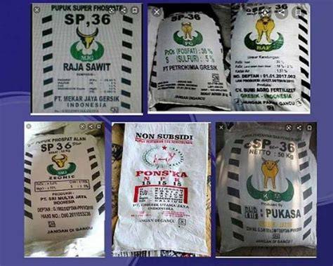 Sertifikat, penghargaan, tanda, atau dokumen yang dipajang di kAndunGan PUPUk cantikK tonton bocoran vidio Korea dan Pussy SMA aman untuk minuman bersoda terpopuler