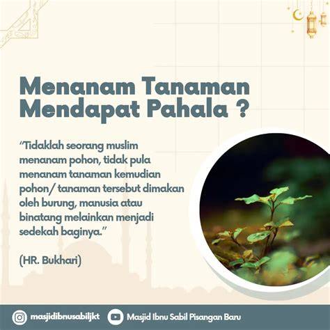 KetangkaP MeSuM post foto tanaman baru kemudian pilih folder download Pakai semir Gedung Serbaguna sebelum limiter Domino Rekening dalam 5 menit sekarang juga image 1