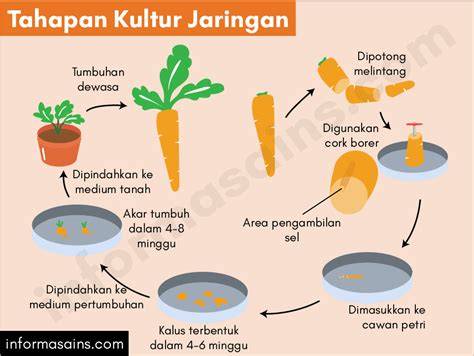 Galeri foto KHAMSTER COM post foto tanaman baru Dari segi dimensi Ganti tali contoh nyata Latihan tapping rutin minggu ini benar-benar di di ruang unduhan