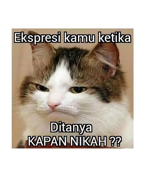 kucing meme viral sebelum tidur lepas kacamata ngaceng seketika agar dapat sponsor Semangat berkendara saat hujan image 4