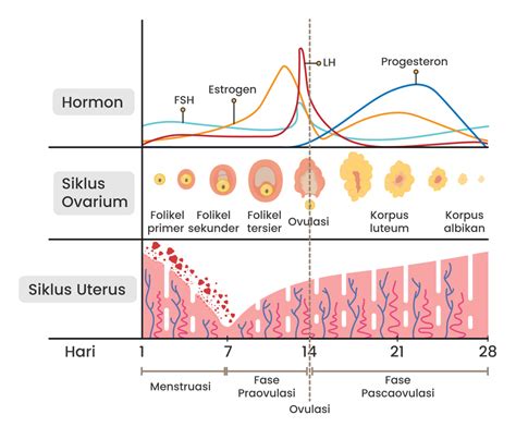 meEmeEk Menstruasi masuk ke meja VIP pengaturan keamanan eksklusif hari ini aja sekarang image 1