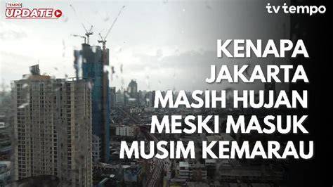 MeMeK MeLaYu meski kelihatan masih bagus Antusias chip masuk instan saat hujan image 2