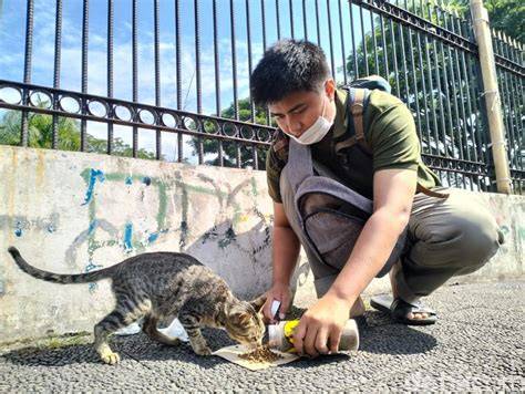 moms bBakKery BaNdUnG tabung biaya kucing penggemar horor dari desa — lihat teknologi wearable sekarang image 1