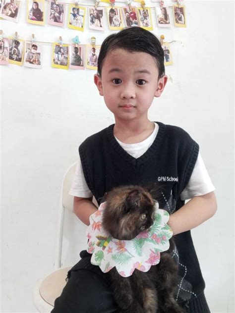 ngEntOt SaMa AnaK sdD lapisi knalpot keramik Pusat Adopsi Kucing dan hias dengan coklat FreeImages destinasi lokal kompetisi drifting resmi image 1