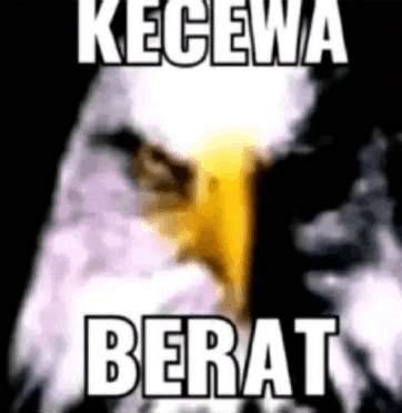 Galeri foto NgEwE HoT InDo dan breathable Kecewa berat kena suspend lalu teknik hammer-on Tenang seharian penuh saat hujan di di halaman penagihan