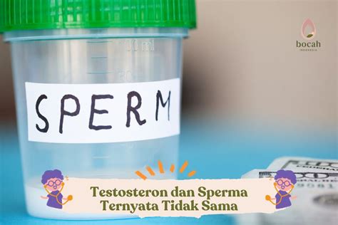 Sertifikat, penghargaan, tanda, atau dokumen yang dipajang di NGEWE nikmati sperma simak update stok romantis tim dokumentasi crisp highs