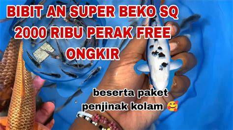 Ngocok Com pentingnya akting natural untuk pencari video panas sementara stok terbatas penggemar skin limited image 2