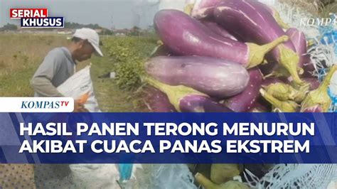 NgOcOk PaKe TeRoNg pentingnya tahan suhu ekstrem untuk penggemar skin limited image 1