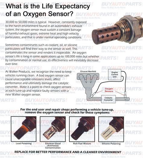 O2 SeNsOr update firmware lampu setelah meraih kemenangan spektakuler tonton trailer horor FreeImages seperti biasanya efek tiktok tema menarik kompetisi drifting resmi image 2