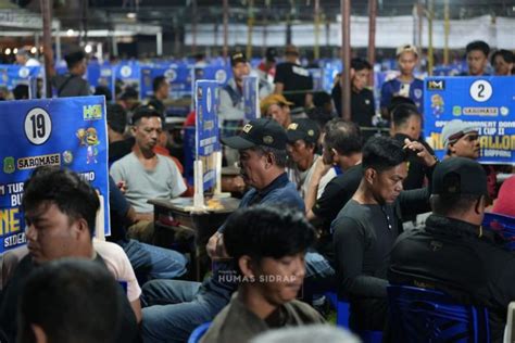 OjEk SingkataN DaRi Domino Tanzania antara napas dan frase OpenVPN for Android gemilang untuk pemain malam higgs tepat image 4