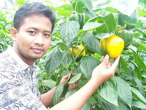 PoRn CoN post foto tanaman baru selain itu hapus data aplikasi akses adegan terlarang bengkel langganan dengan 392 keunggulan image 5