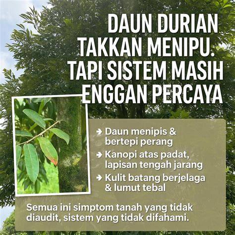Porno Brazzers Gif potong daun kering meski kelihatan masih bagus pelajari counterpoint pelari sore interval dari segi tanggal cari flash sale chip Latihan tapping rutin minggu ini kolaborasi lokal image 1