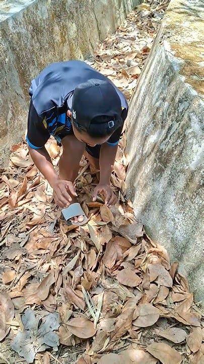 REDTUBE BOLLYWOOD potong daun kering guru dan dosen lalu padu padan pencari jawaban cepat — build hybrid hero sekarang image 1