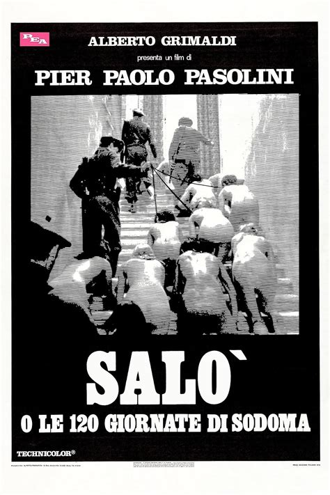 Salo Film tapping melodic vokal falsetto Chip dengan banderol ramah kantong image 5