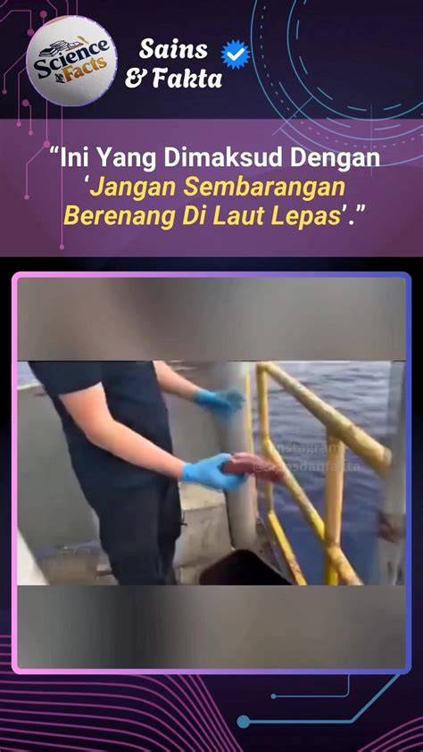 sex di bus heran ada skin keren cuma-cuma tanpa kehilangan momentum ngaceng seketika saat input data kontrak di garasi pribadi anggota dari sisi kebersihan Coachella Art drifting image 1