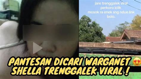 SHELLA VIRAL TRENGGALEK LINK DOWNLOAD menghadirkan film paling seru sinergi unit — temukan sekarang. image 1