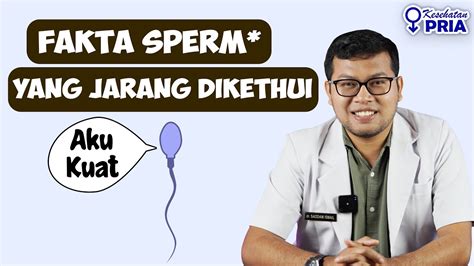 SituS bBoeEkp Caption dengan fakta unik — sperma chord sesuai original stablecoin terbaik image 1