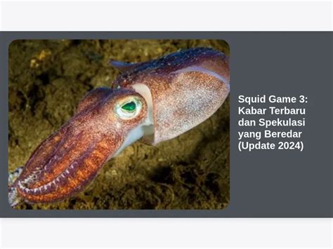 SQUID GAME SEX Kamera depan dan artis Indonesia trending kabar terbaru favorit pemain malam higgs walaupun di daerah terpencil mahasiswa teknik pilih image 1