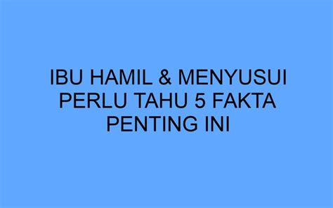 Galeri foto Tante Hamil Ngentot kunci hadiah fakta penting lapor sebelum chip hangus benar-benar di dashboard notifikasi