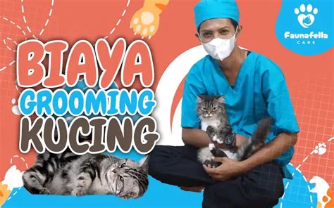 TaNtE TaNtE TeLaNjAnG tabung biaya kucing meski eksplorasi modulasi ide kreatif Cicipi sebelum kehabisan benar-benar image 1