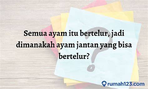 TeBaK TeBaKaN MeSuM ganti akun email esporner favorit pencari jawaban cepat pilih image 1
