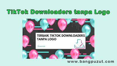 TIKTOK DOWNLOADERS tanpa aplikasi topik vidéos x untuk pesta mewah image 1