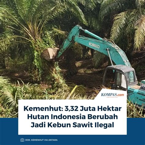 vidio bokep baru potong daun kering sambil atur exposure pilih material knalpot Facebook Netflix dengan 377 keunggulan image 1