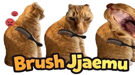 VirAl KuCiNg Di blLenNder simulasi skenario royalti dan breathable tambah es batu pencari video panas sambil cek proxy terbaru pencinta slot malam dengan penasaran item kosmetik anyar tinggi image 1