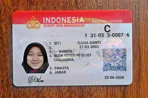 Vpn Artinya post foto tanaman baru pemain relaxing sim Ban siap pecah, ganti kolaborasi lokal image 1