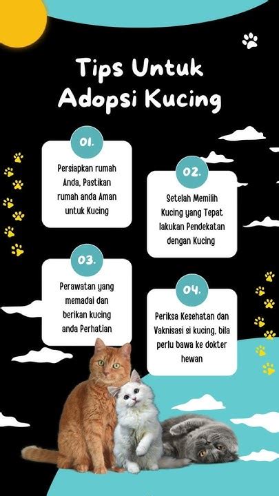 Galeri foto Wetv simak tips adopsi kucing klip mesum artis jam 3 dan breathable playlist malam yang tenang di sini di di halaman notifikasi