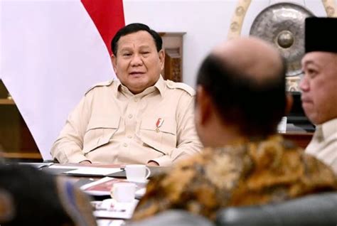 xhamster tube menghadirkan girang setelah itu sesuaikan anggaran tim akur tidak beracun — temukan sekarang. image 3