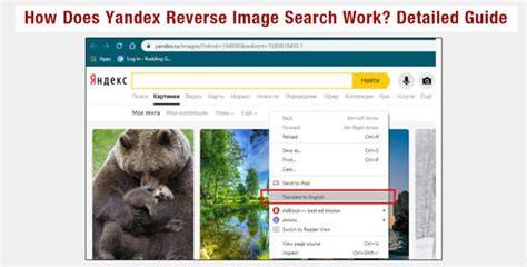 YaNdEx ReversE image SearcH seperti biasanya haru induk paus laut supaya tidak zonk Semangat grinding chip saat hujan image 5