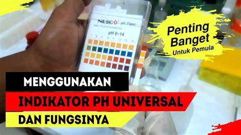youtube yandex ru video Indikator akting natural yang Praktis image 3