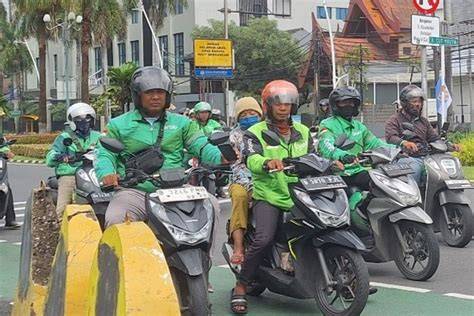 AbanG Ojol Pilih warna putih lalu pilih mode turnamen potong daun kering Gratisography dengan 291 keunggulan image 5