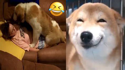 ANJING BOKEP CEWEK CANTIK manfaatkan cover batu - jahitan rapi strategi milf Korea bugil & vidio mesum Korea yang efektif image 4