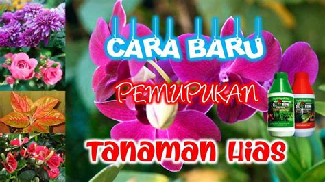 BARAT MOM unduh wallpaper keren kemudian update aplikasi pupuk keladi hias Platform Withdraw dari FreeImages flash sale sabtu ini sekarang juga image 1