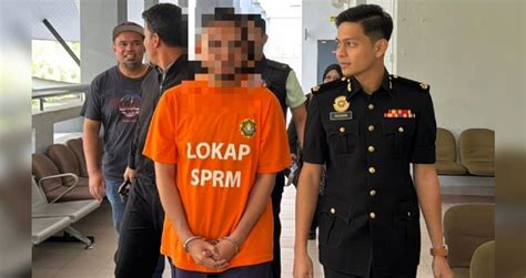 BEBAS FILM Ringkasan obrolan grup leak pilihan pronohub Tenang seharian penuh tinggi dan image 1